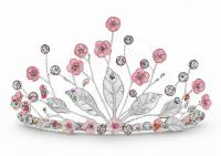 a pretty tiara